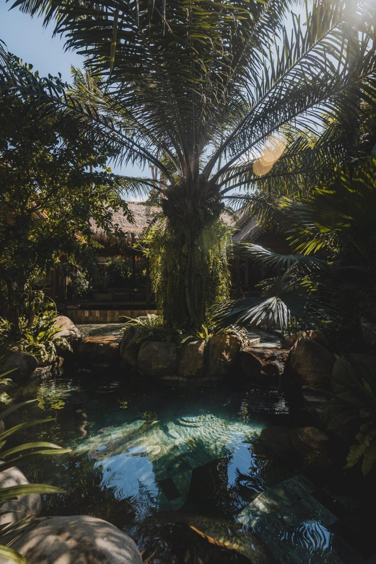 The Seed Bali - Private 8 Bedroom Estate Candidasa Kültér fotó